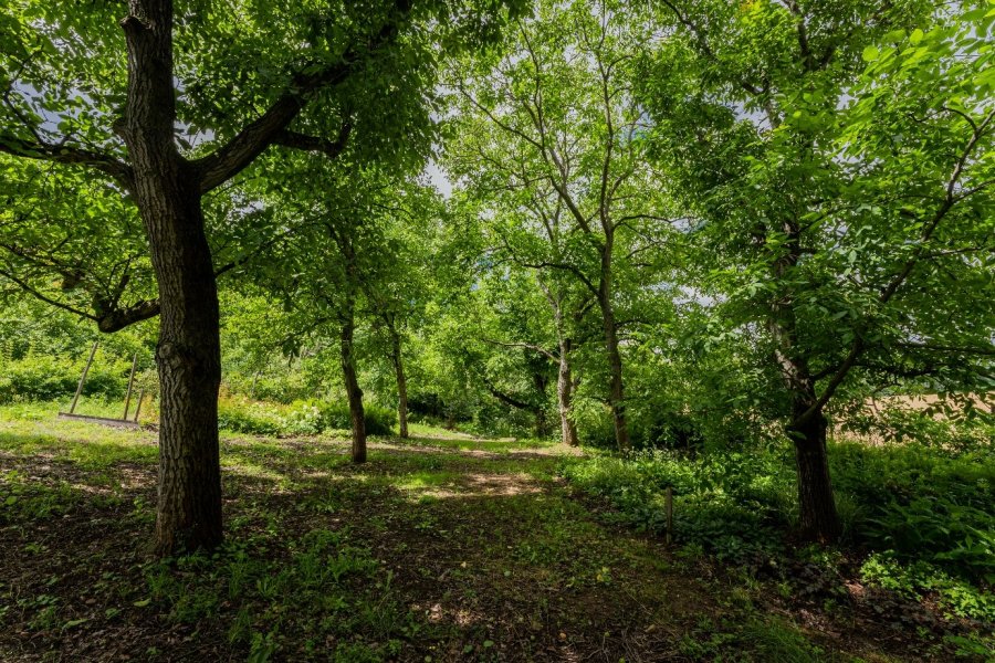 Záběr stavebního pozemku Praha 8 - Bohnice 