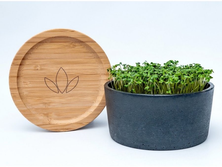 betónová miska na microgreens