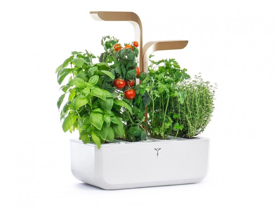 inteligentní květináč  Véritable.