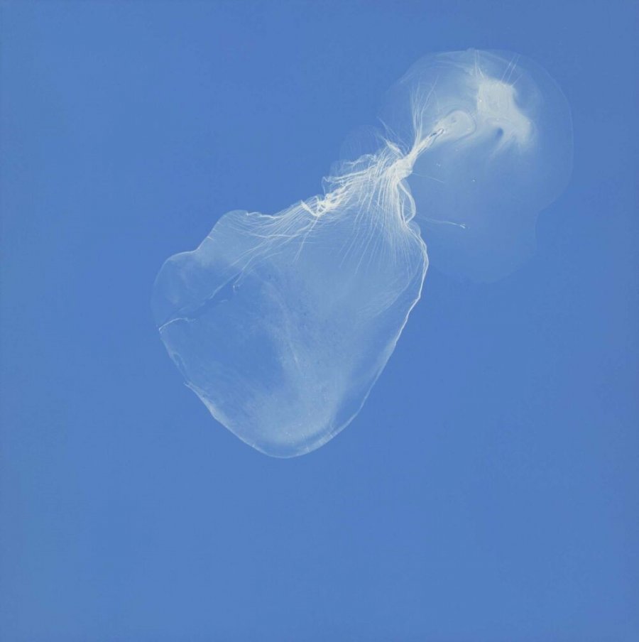 Esence života od Libora Antla