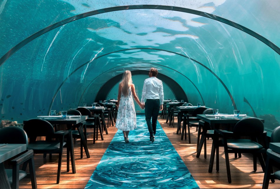 How about some underwater dining with the fish? Take a trip to Norway!