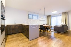 obývací pokoj s kuchyňským koutem