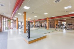 prostorna telocvicna