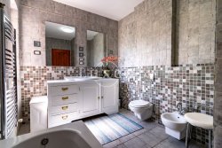 bidet