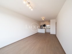 hlavni obytny prostor