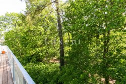 vyhled do Obory Hvezda