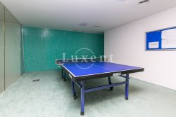 ping pong