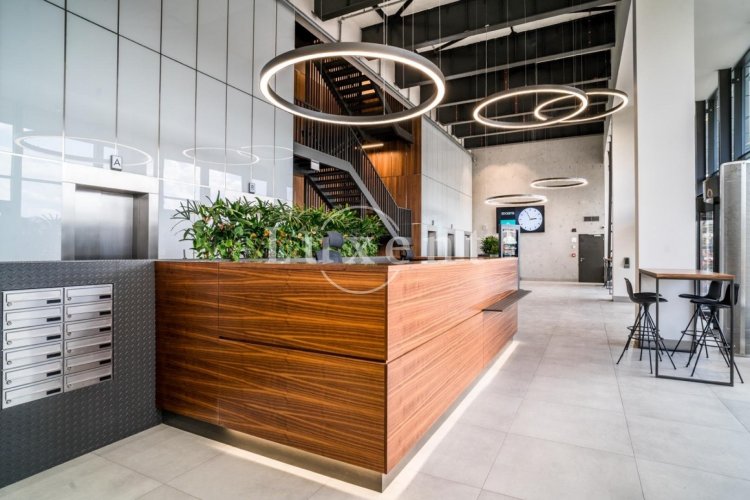 Pronájem loftových komerčních prostor, 2 095 m2, Brno