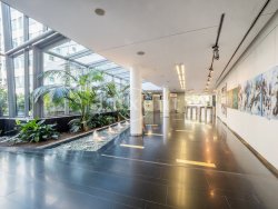 chodba luxembourg plaza