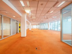 open space