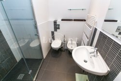 koupelna se sprchovým koutem