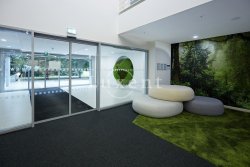 vstup 