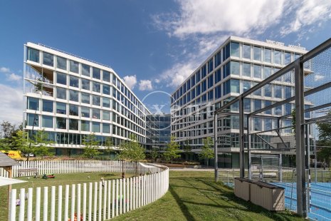 projekt