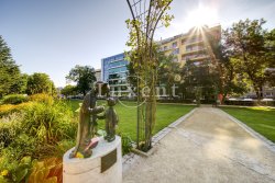 ulice