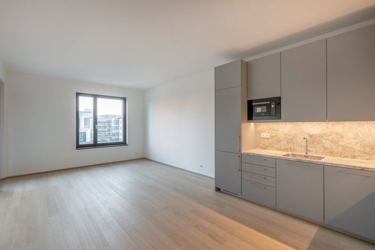 Rent apartment 2+kk/T/P, 63 m², Prague 7 - Holešovice