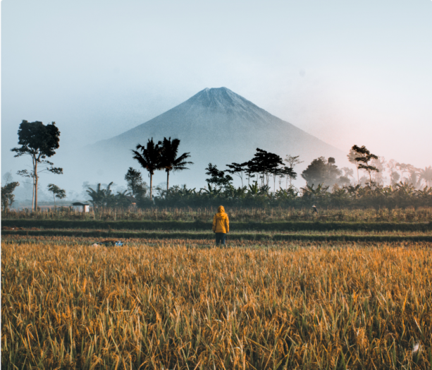 Nemovitosti<br><b>Indonésie</b>